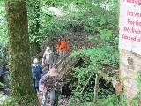 Photos